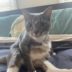 Meet your Posher, Eric